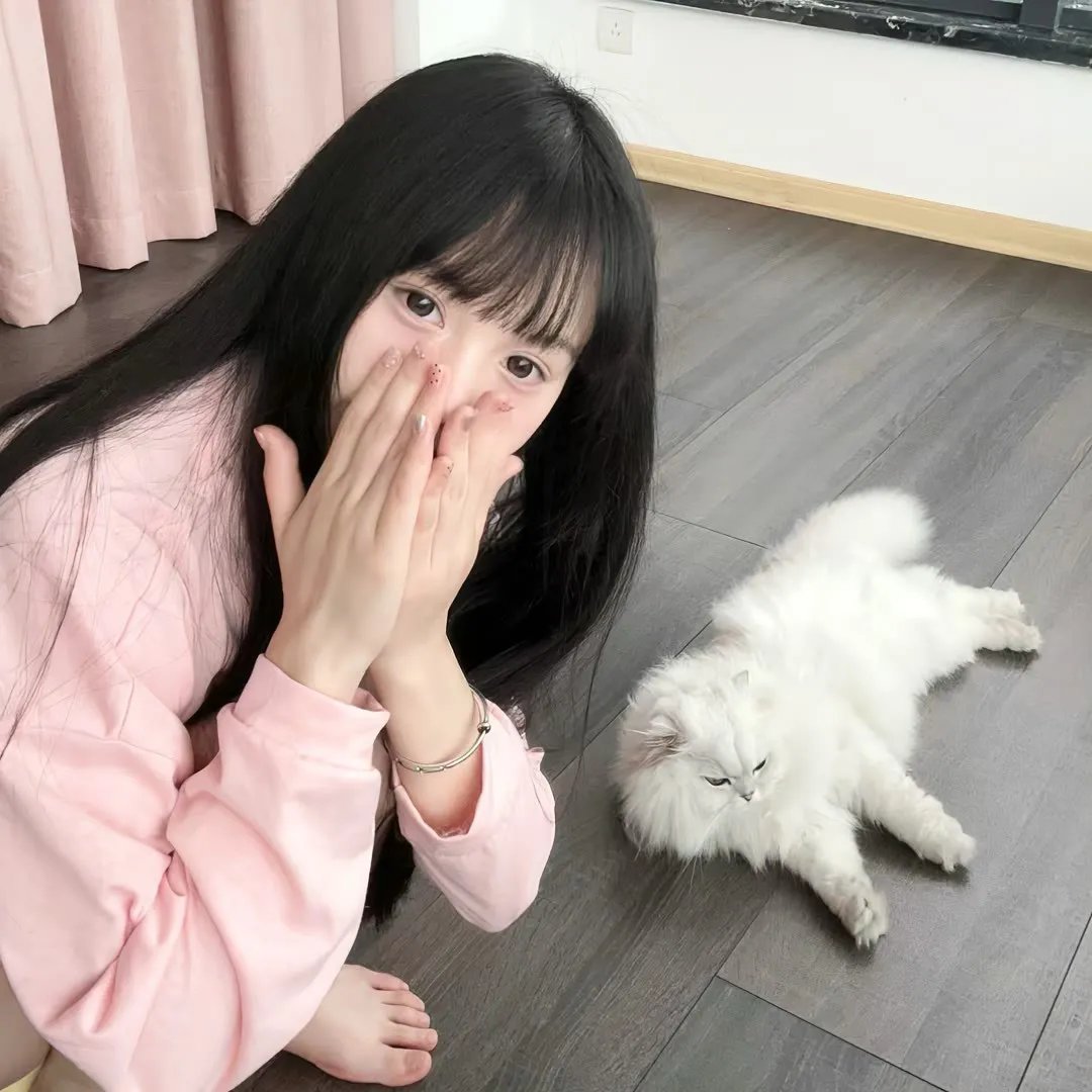 孤独的美食家 第六季
